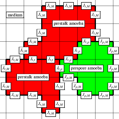 CPM van 3 cellen (2 typen)